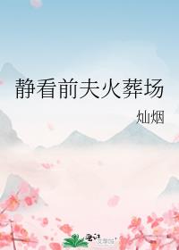 离婚后前夫追妻火葬场