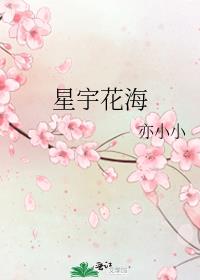 星宇花园读哪个小学