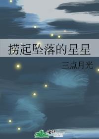 漫漫长夜坠落的星星