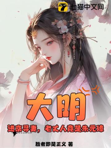 大明:进京寻妻