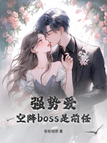 空降boss是前任小说