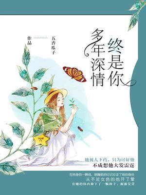 多年深情终是你歌词