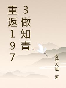 重返1973做知青小说