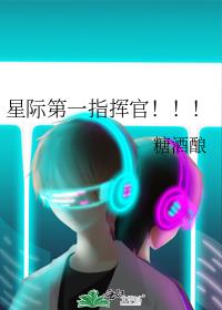 星际第一指挥官讲的什么