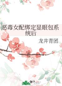 恶毒女配绑定显眼包系统后