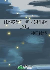 〔综英美〕阿卡姆出院之后