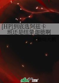 [HP]到底选阿兹卡班还是纽蒙迦徳啊