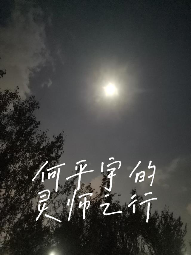 何平宇的灵师之行在线阅读