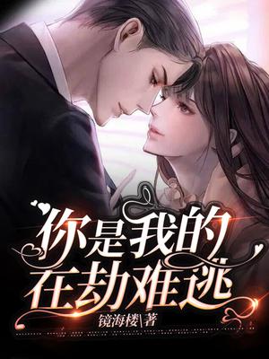 你是我的在劫难逃100集完结版