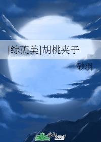 胡桃夹子 书